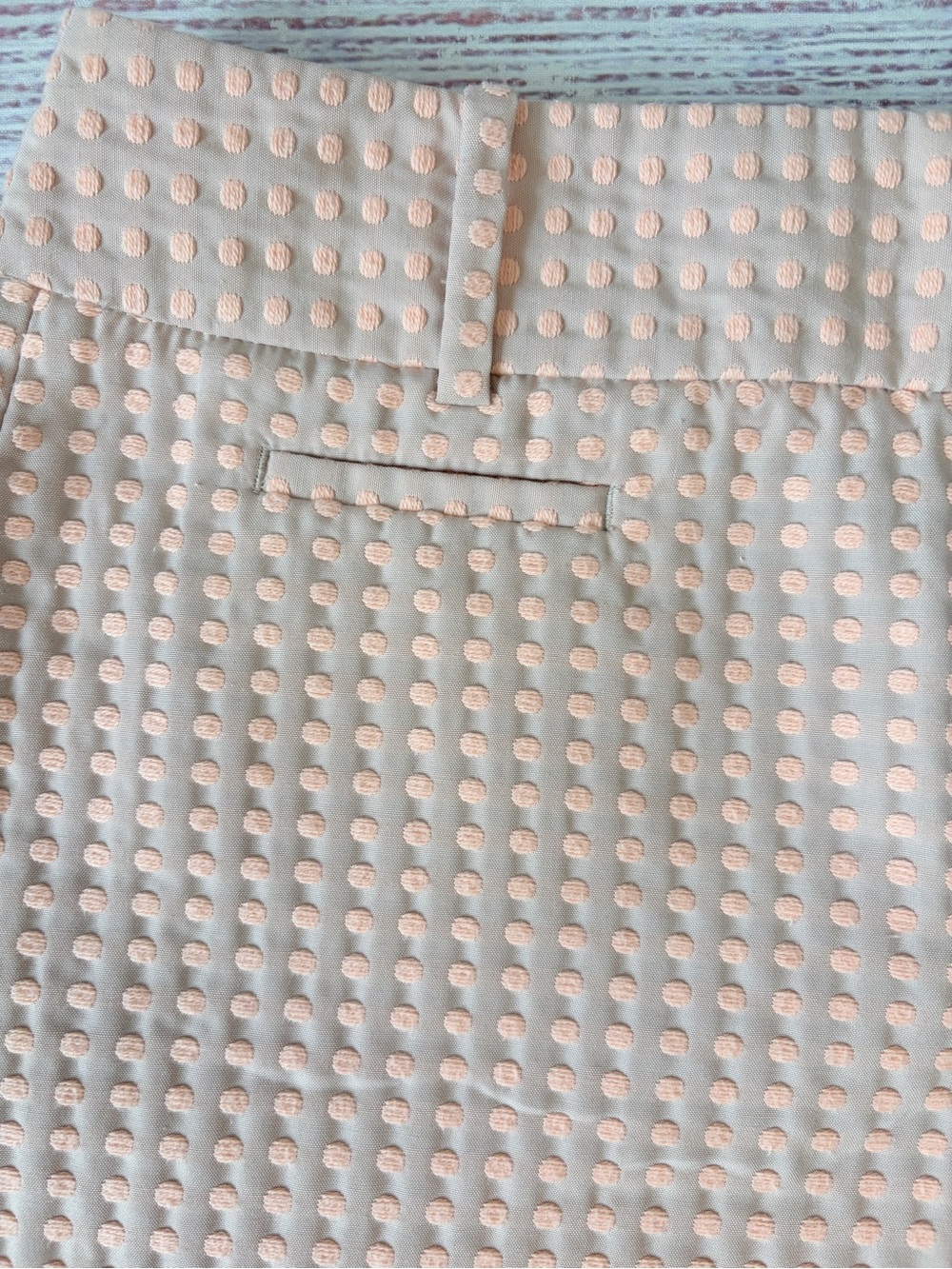 LOFT Women’s Textured Peach Shorts with Dots Size 6 4" Inseam Cream/Pink - Picture 2 of 8